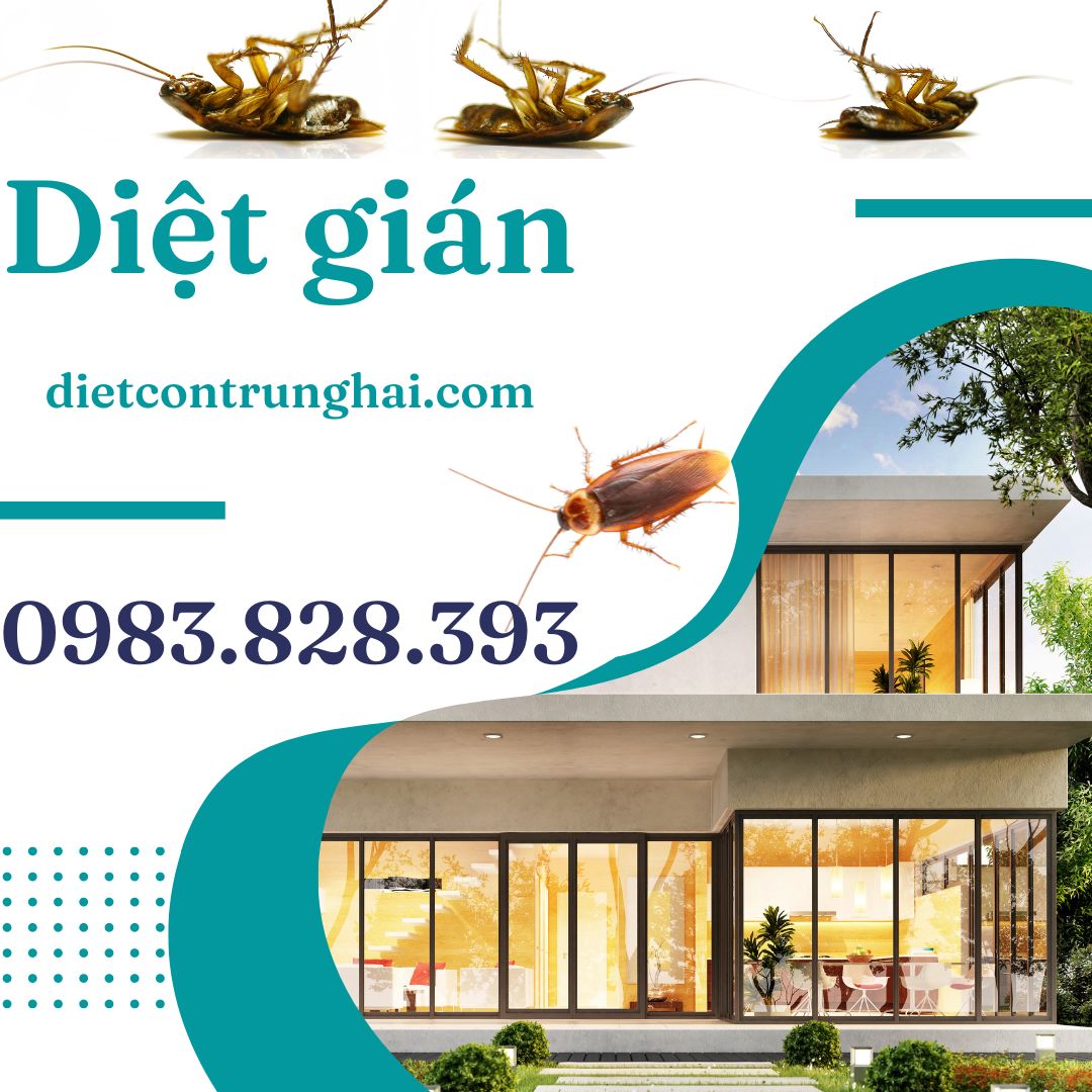 Dịch vụ diệt gián tận gốc