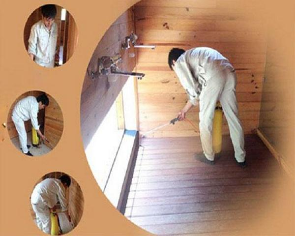 Giới thiệu bảng báo giá diệt mối tận gốc cho các gia đình