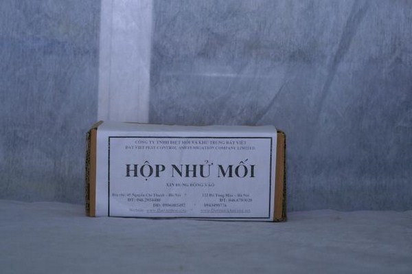 đặt hộp nhử mối