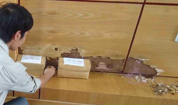 Cách diệt mối gỗ tận gốc