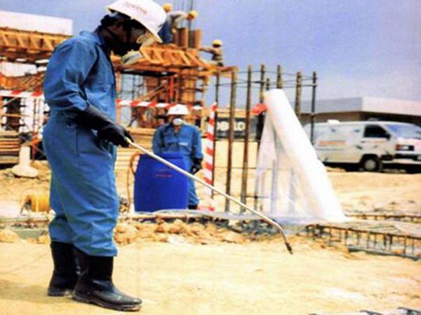 Dịch vụ diệt mối Hội An