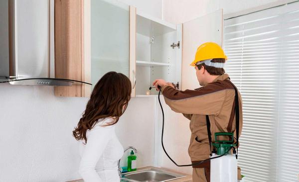 dich-vu-diet-moi-tan-goc