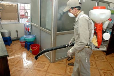 dịch vụ phun thuốc diệt côn trùng, phun thuốc diệt muỗi