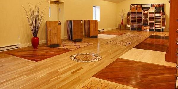 Cách diệt mối bằng phương pháp sinh học hiệu quả