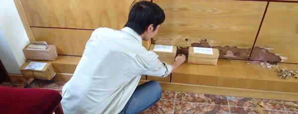 diet-moi-tan-goc-gia-bao-nhieu