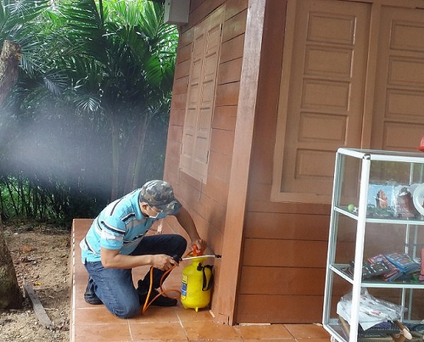 Dịch vụ diệt mối tận gốc giá bao nhiêu