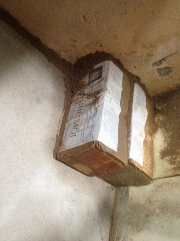 diet-moi-tan-goc-tai-cau-giay