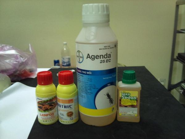 diet-moi-truoc-khi-xay-nha