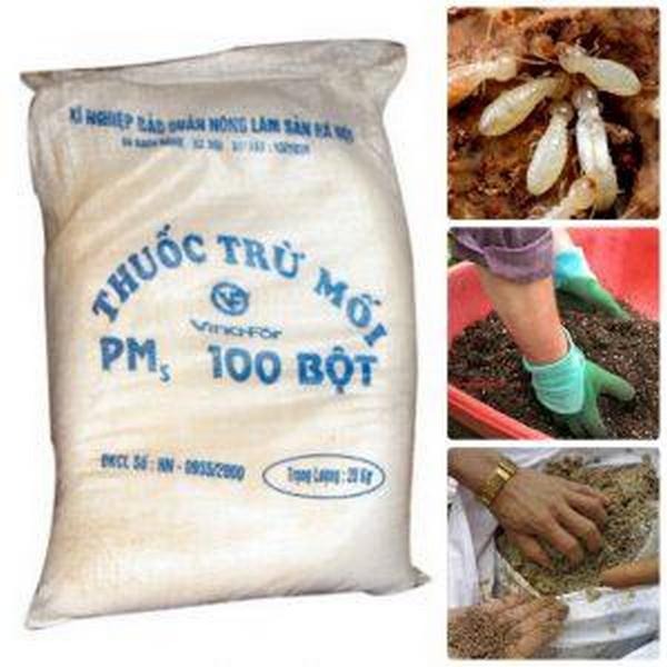 Vấn Đề Mối với Thuốc trừ mối PMS 100 Bột.