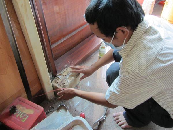 Kỹ thuật diệt mối tận gốc cho công trình đã sử dụng