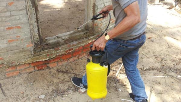 Làm cách nào để diệt mối tận gốc?