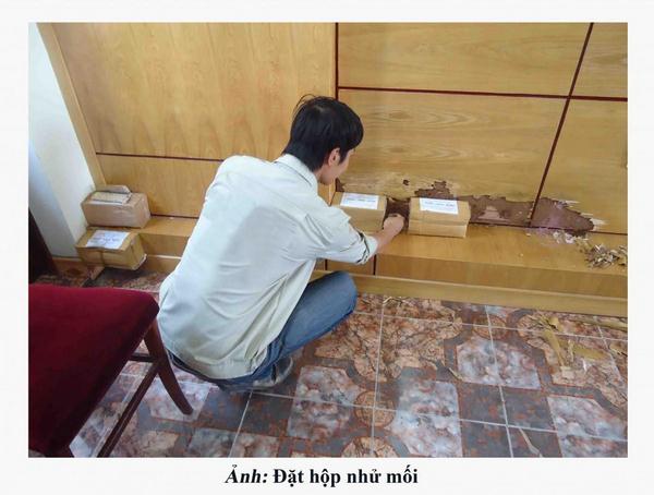 lam-the-nao-de-diet-moi-tan-goc