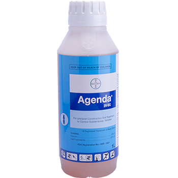 Mua thuốc diệt mối sinh học nào tốt?