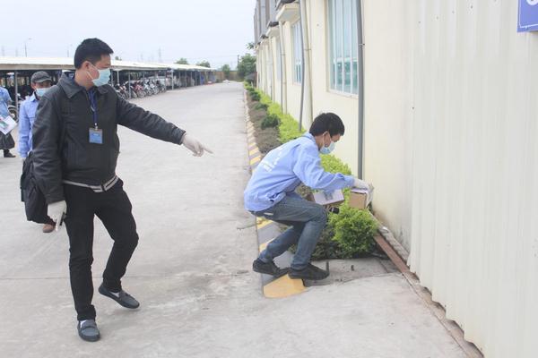 Một số phương pháp diệt mối tận gốc