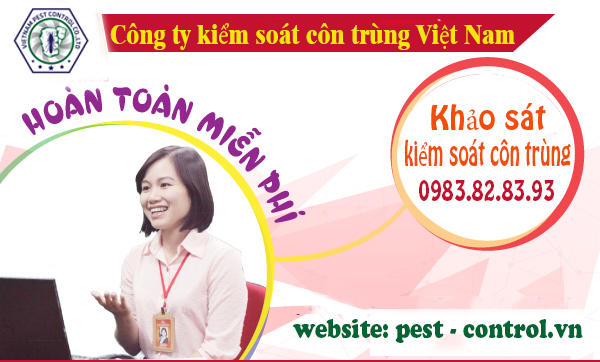 dịch vụ ship hàng toàn quốc thuốc diệt muỗi