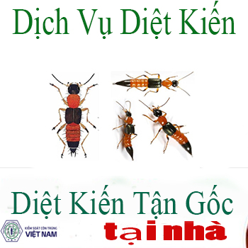 bảng giá thuốc diệt côn trùng