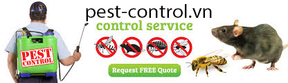 Thuốc diệt chuột storm tại Hà Nội