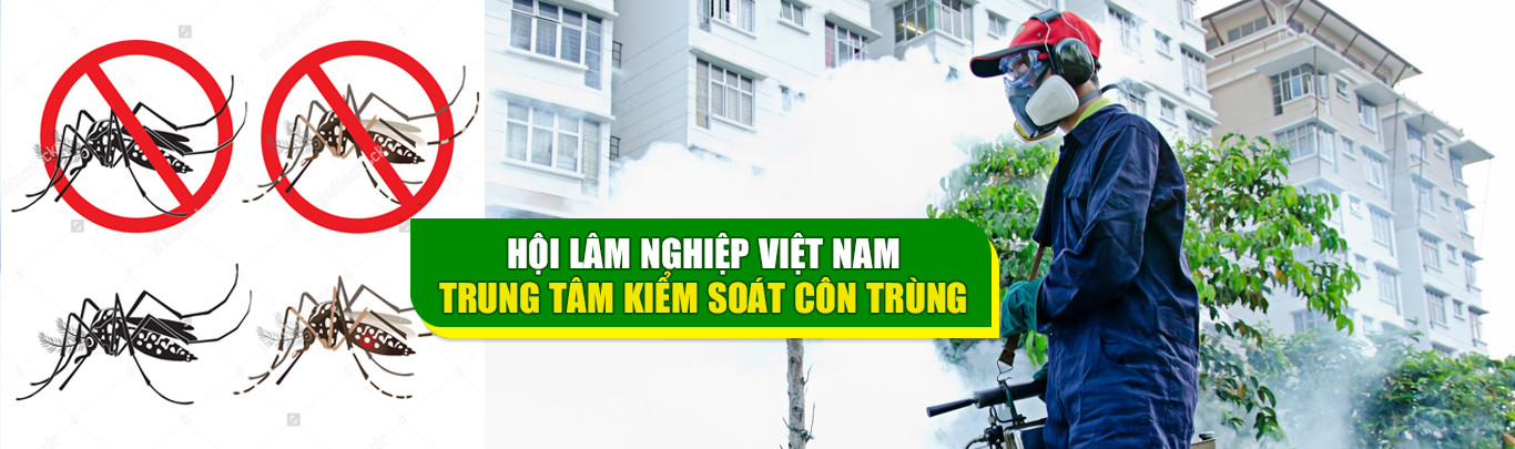 Báo giá thuốc diệt mối giá rẻ