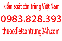 Thuốc diệt mối bán ở đâu là tốt nhất