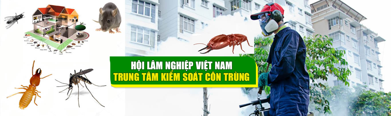 Chỗ bán thuốc diệt mối mọt chất lượng nhất