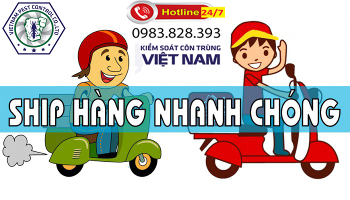 Thuốc diệt mối nào tốt nhất
