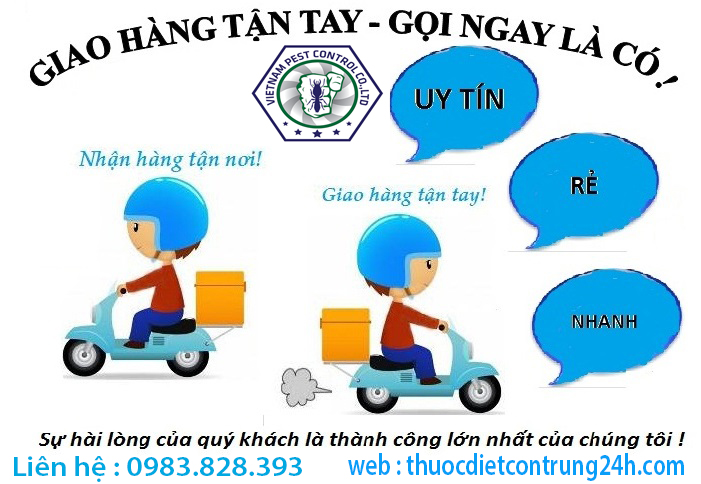 Thuốc diệt mối pmc90 hiệu quả ra sao