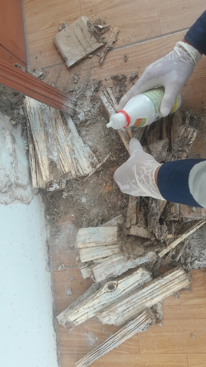 Thuốc diệt mối PMC 90 