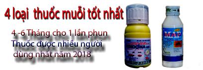 Danh sách các loại thuốc diệt côn trùng được khuyên dùng