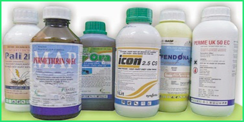 Thuốc Đuổi Muỗi Sinh Học