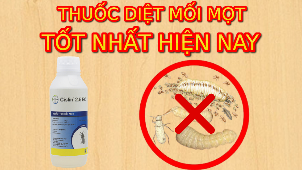 Top 3 Sản Phẩm Thuốc Xịt Diệt Mối Mọt Có Chất Lượng Cao