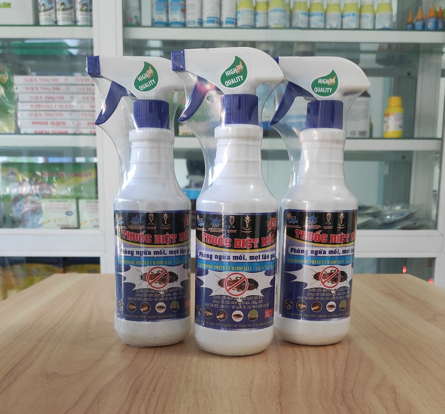 Giải pháp diệt mối tận gốc hiệu quả