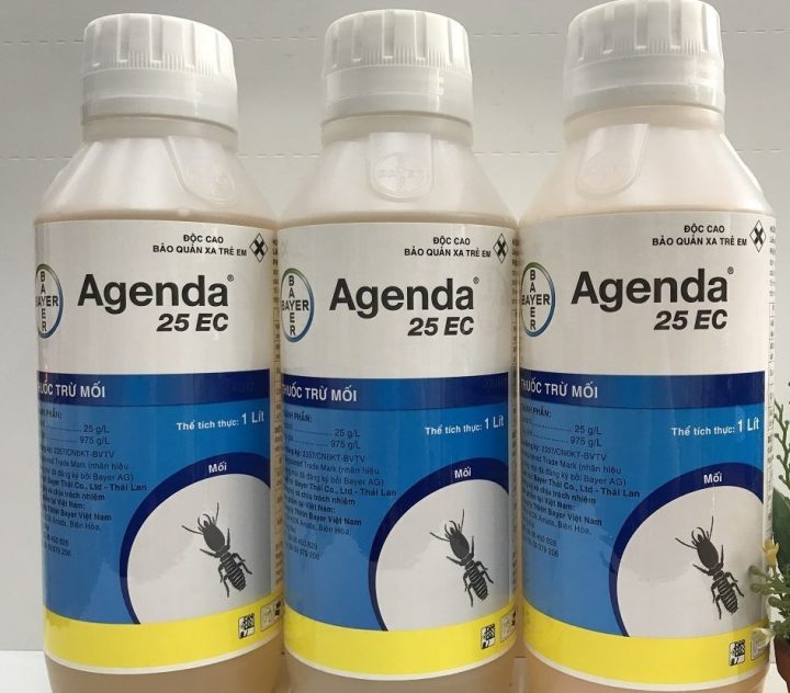 mua thuốc diệt mối ở đâu