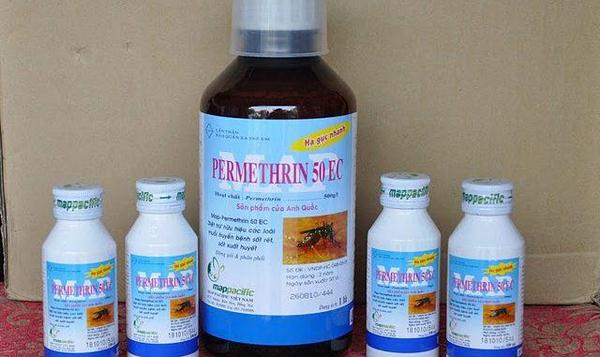 thuoc-diet-moi-khong-mui