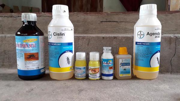 thuoc-diet-moi-nao-tot-nhat