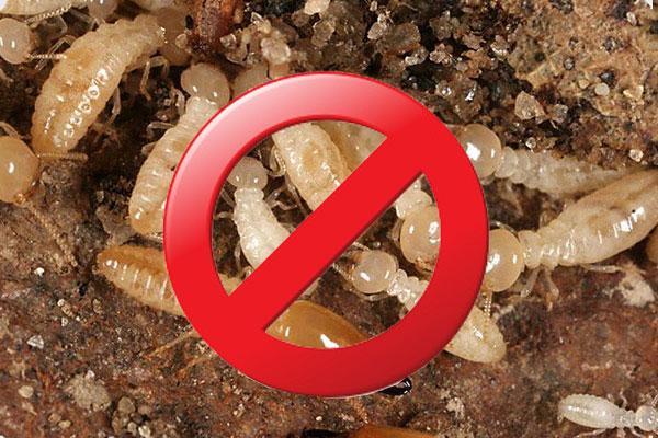 thuoc-diet-moi-sinh-hoc