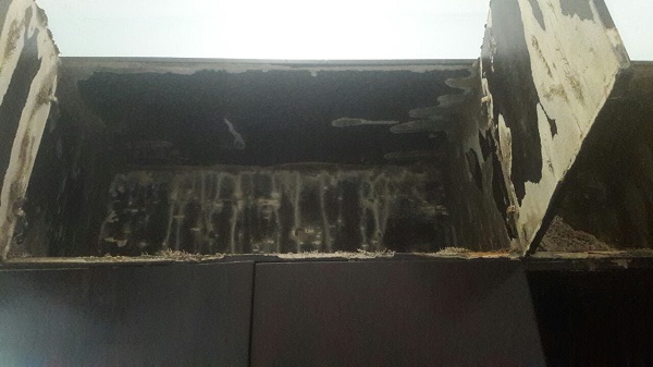 địa chỉ bán thuốc diệt mối tại Hà Nội