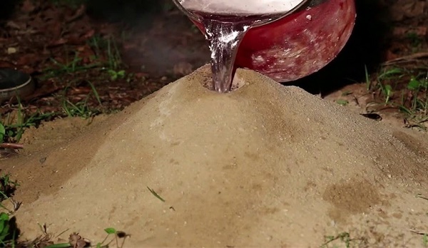 địa chỉ bán thuốc diệt mối tại Hà Nội