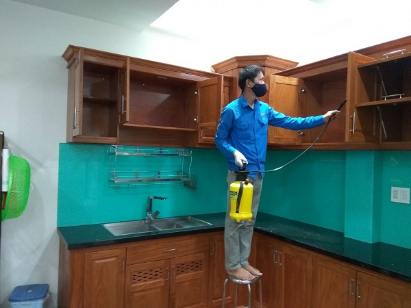 Địa chỉ bán thuốc diệt mối tại Hà Nội