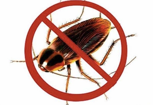 thuốc diệt gián