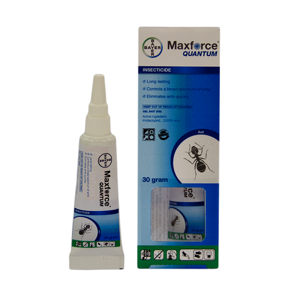 thuốc diệt kiến bán ở đâu