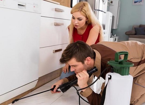 địa chỉ bán thuốc diệt mối tại Hà Nội