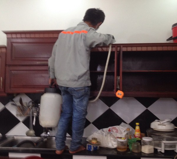 mua-thuoc-diet-moi-gia-re-o-dau-ha-noi