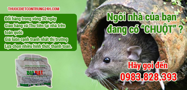 thuoc-diet-chuot_1